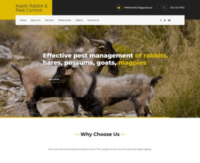 ds website
