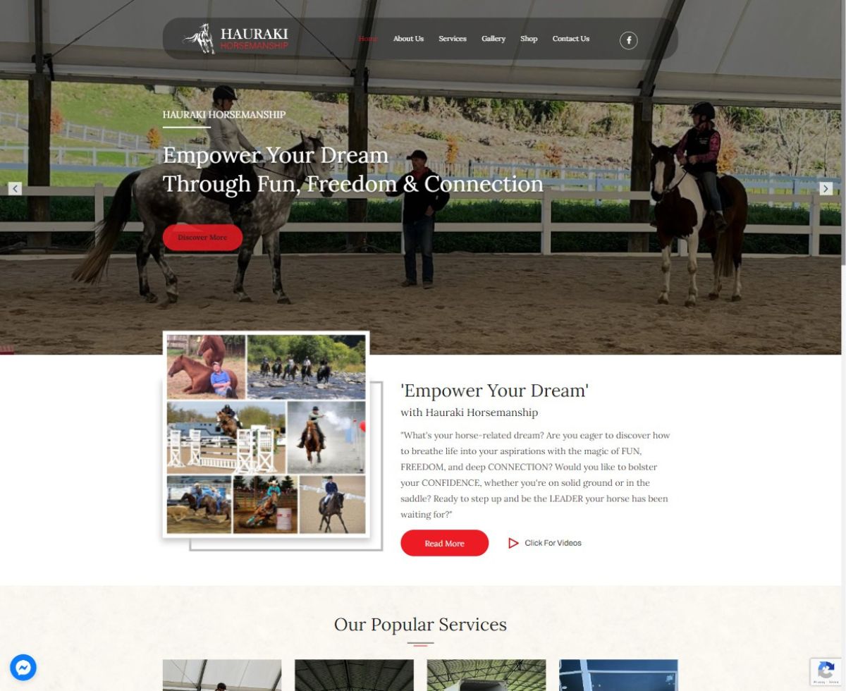 ds website
