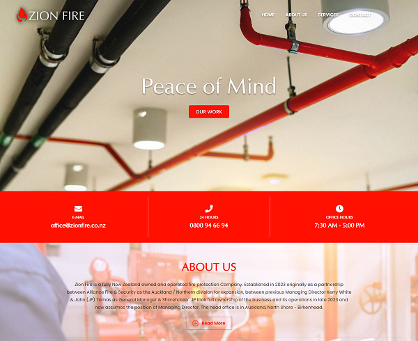 ds website