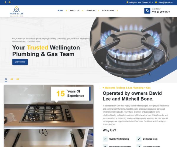 ds website