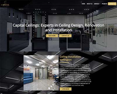 ds websites