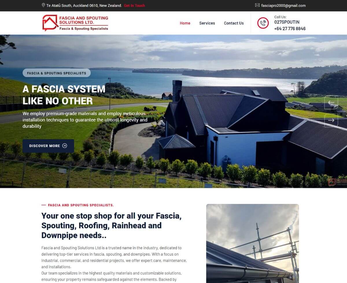 ds websites