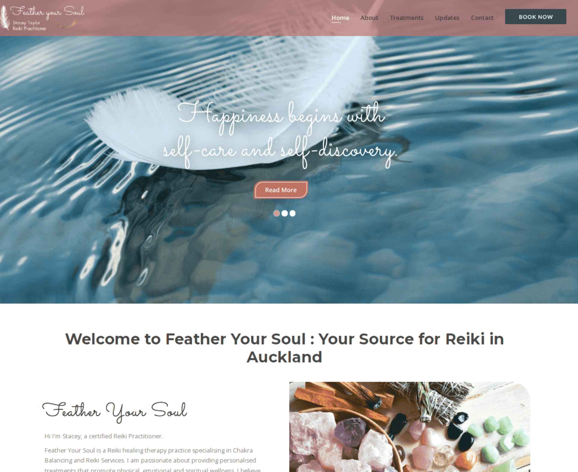 ds website